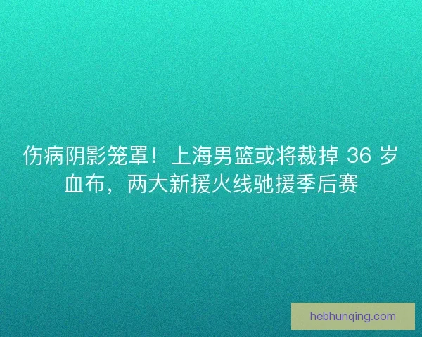 伤病阴影笼罩！上海男篮或将裁掉 36 岁血布，两大新援火线驰援季后赛
