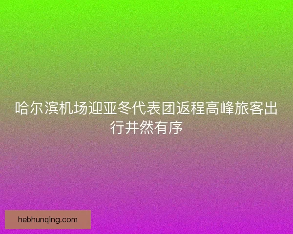 哈尔滨机场迎亚冬代表团返程高峰旅客出行井然有序